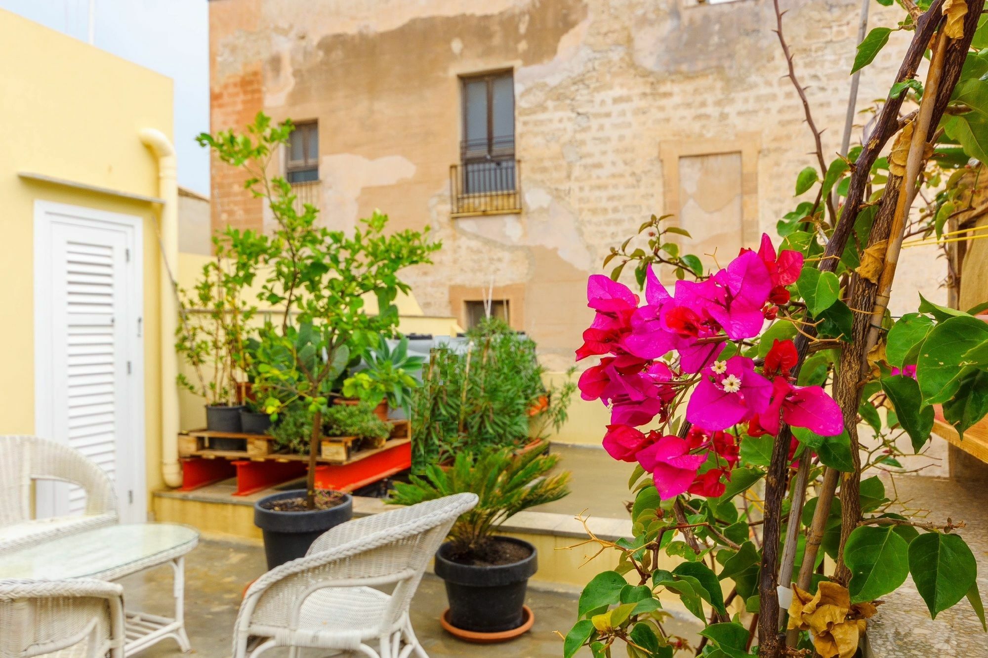 Le Vie Di Trapani Apartment Bagian luar foto